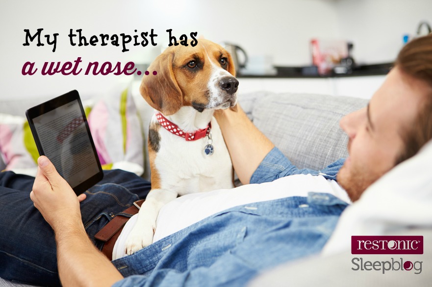 pets & mattress protection