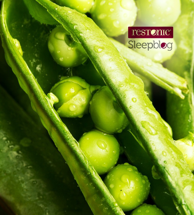 The color Green Color Dictionary for the Best Colors for Your Bedroom