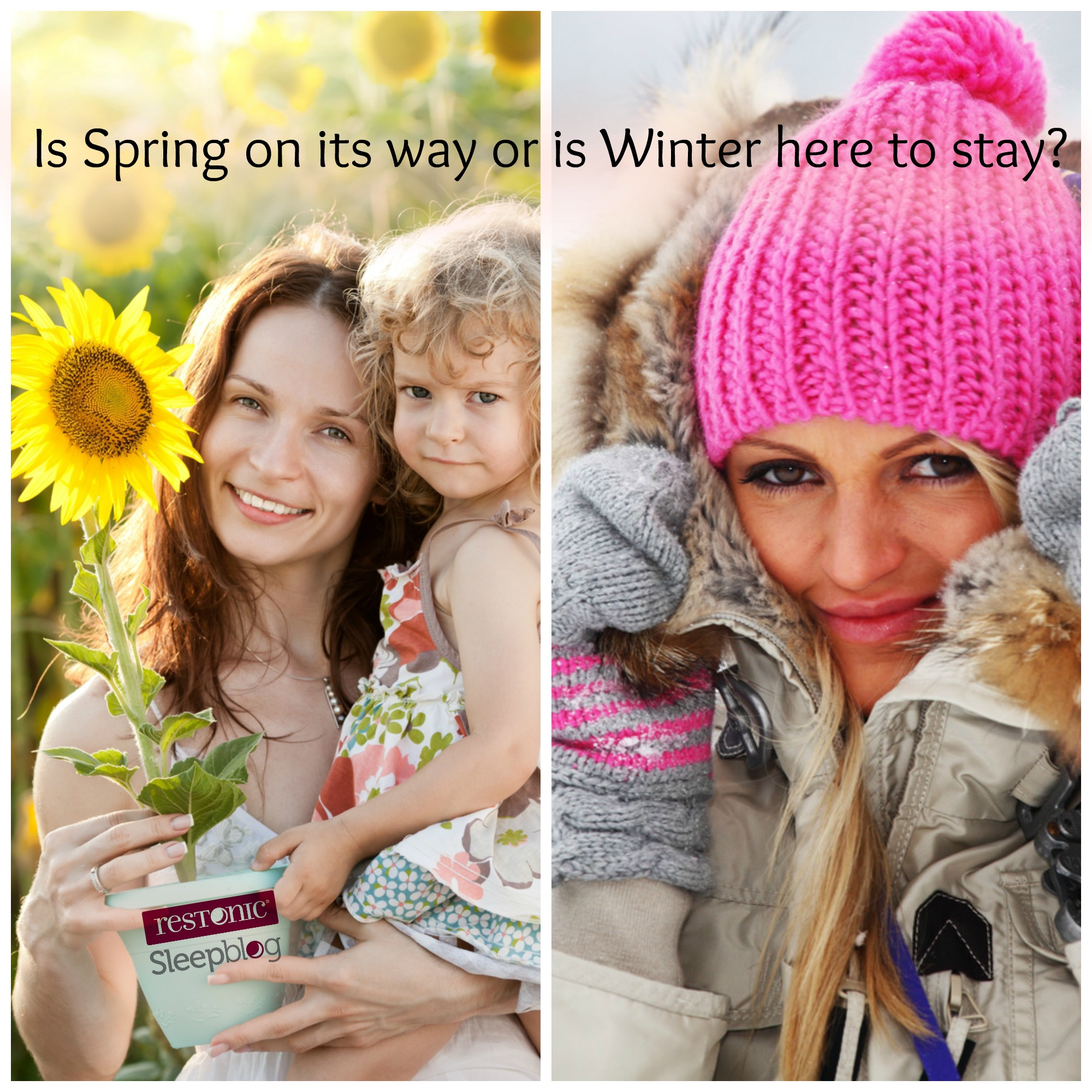 Spring on its way Groundhog Day – What’s it got to do with sleep?