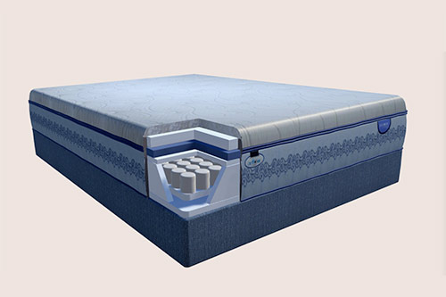 Cushion Firm 2