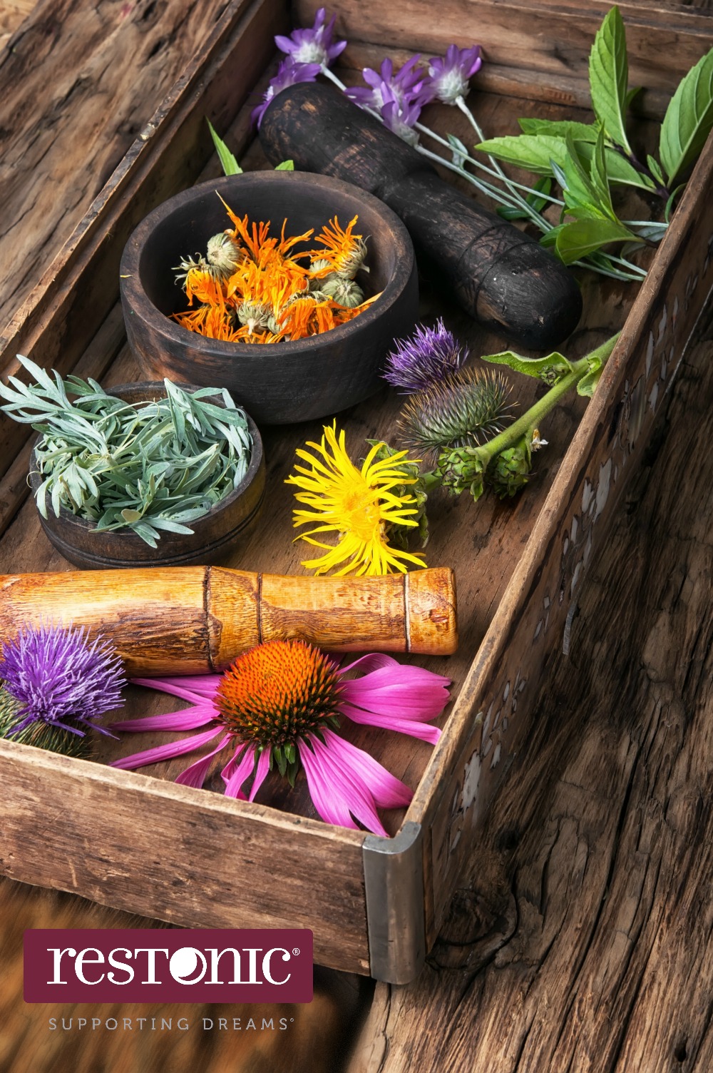 Can Lavender Really Help You Sleep Better? Restonic