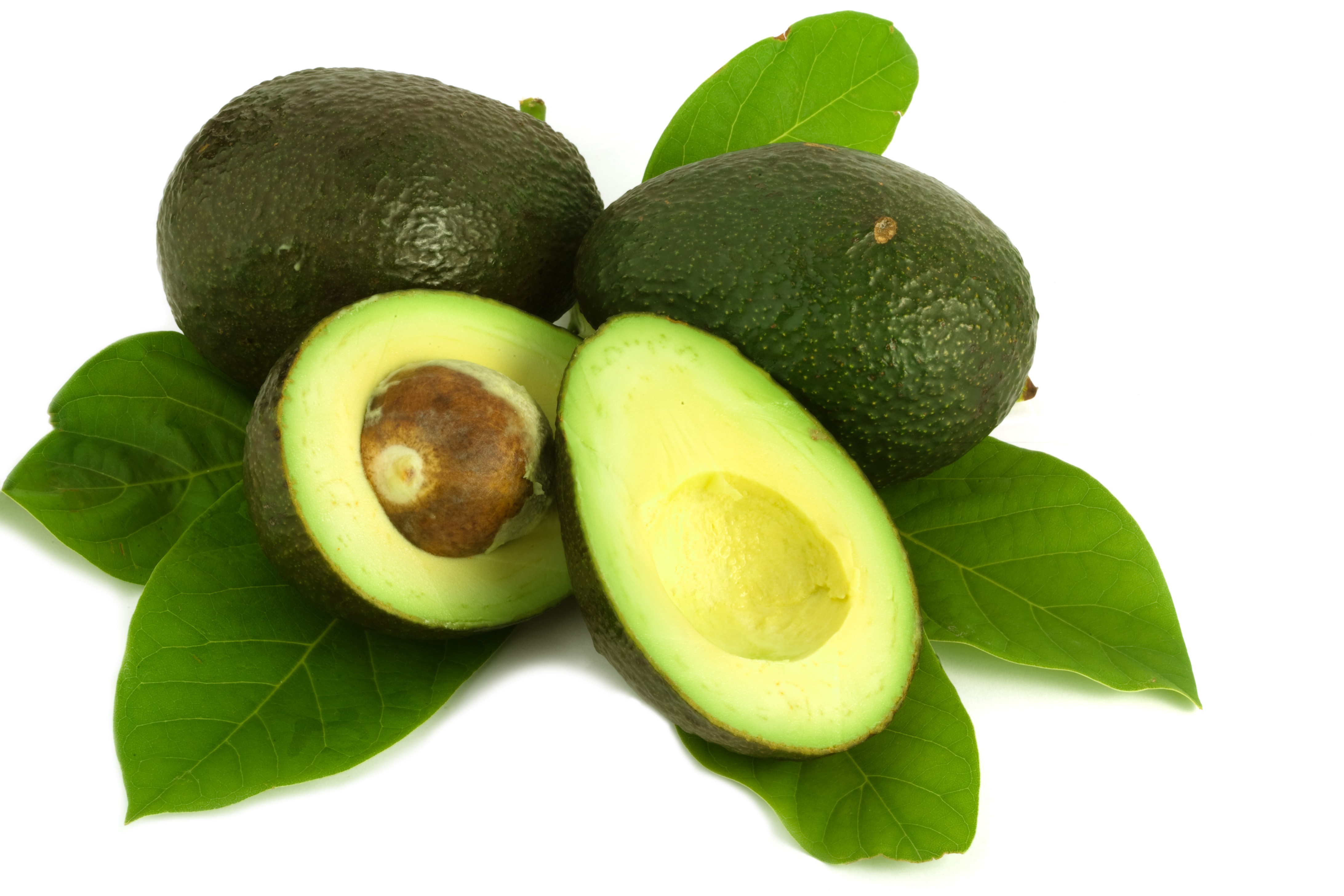 avocados are a nutrient rich snack