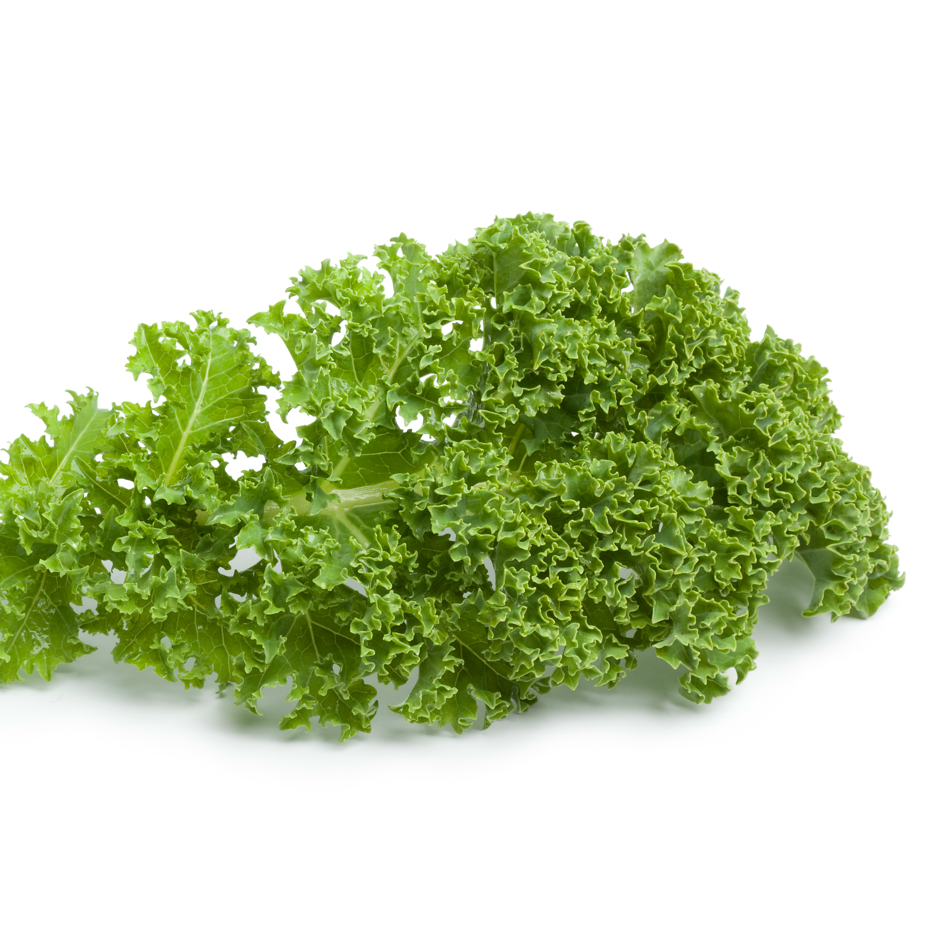 Green kale is loaded with calcium and low in calories. The super-food kale is part of the Sleep Better Diet.