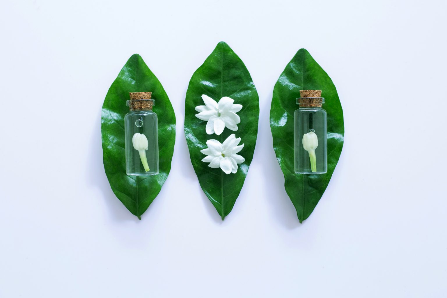 Can Jasmine and the Ancient Practice of Aromatherapy Help You Sleep