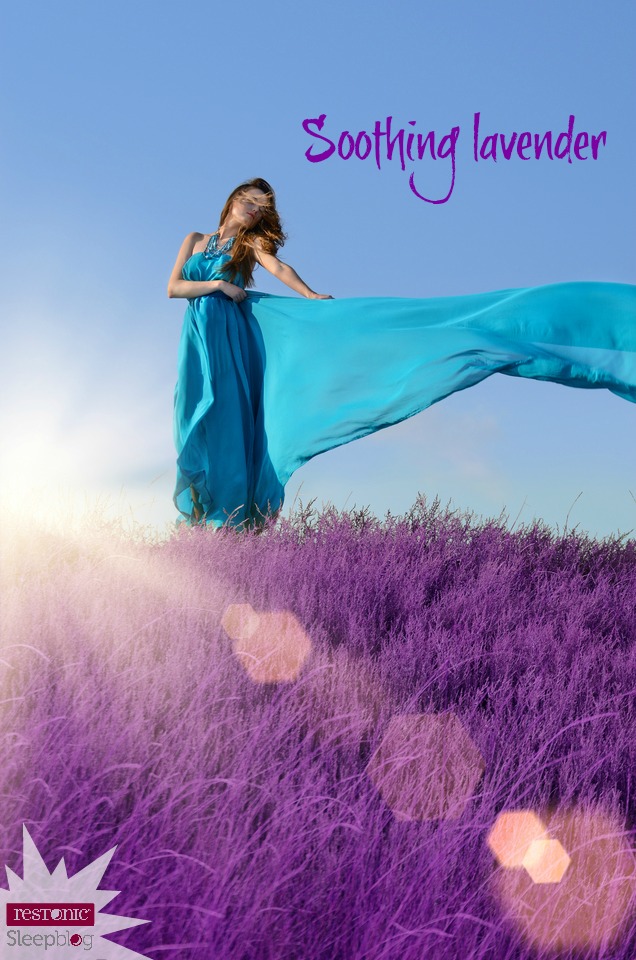 Sleep Scents Lavender Restonic Handcrafted Mattresses since 1918