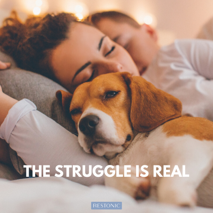 Time for a Night Divorce? Why Some Couples are Opting to Sleep in