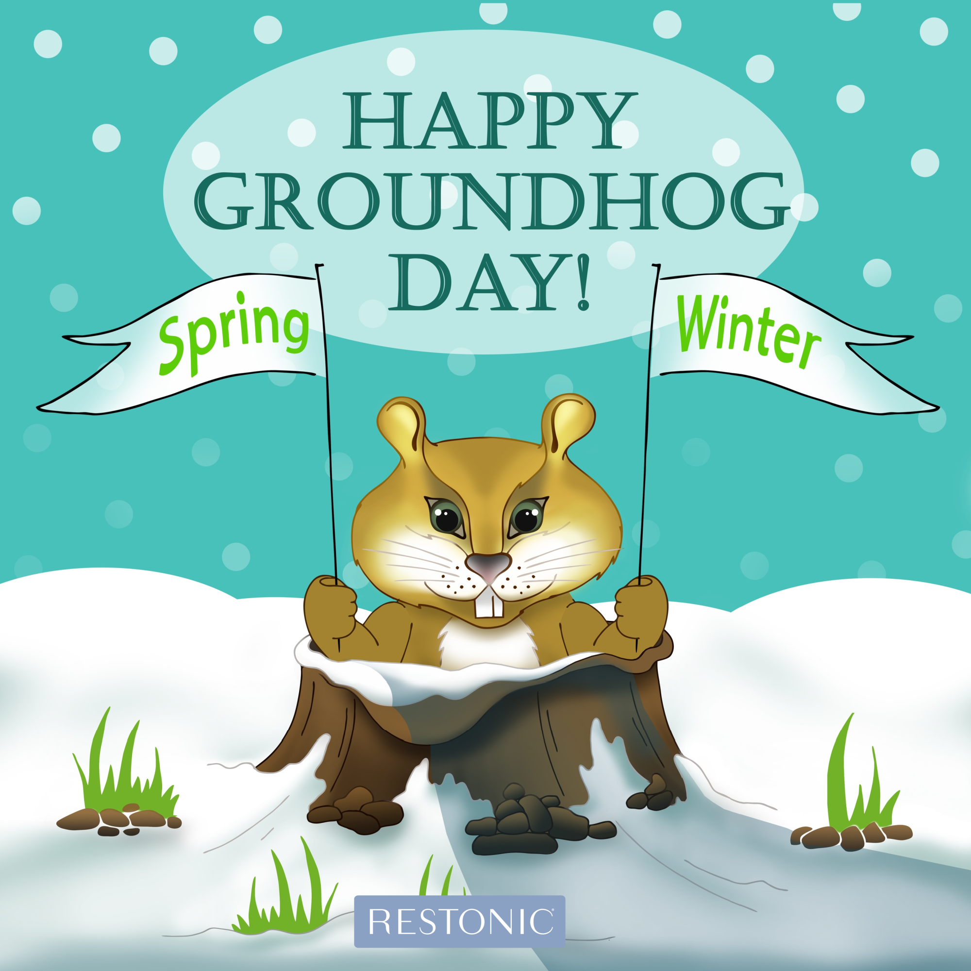 Happy groundhog day gifs