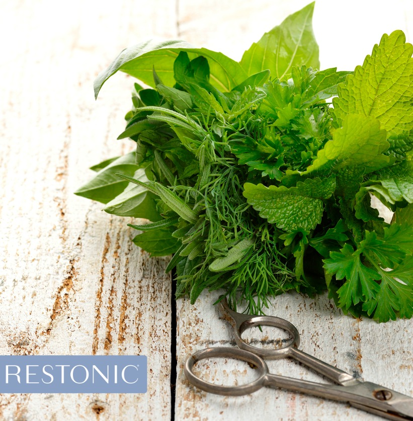 Freshly cut mint leaves that have the power to heal, without ever taking a pill. Exposure to different scents can protect long-term health.