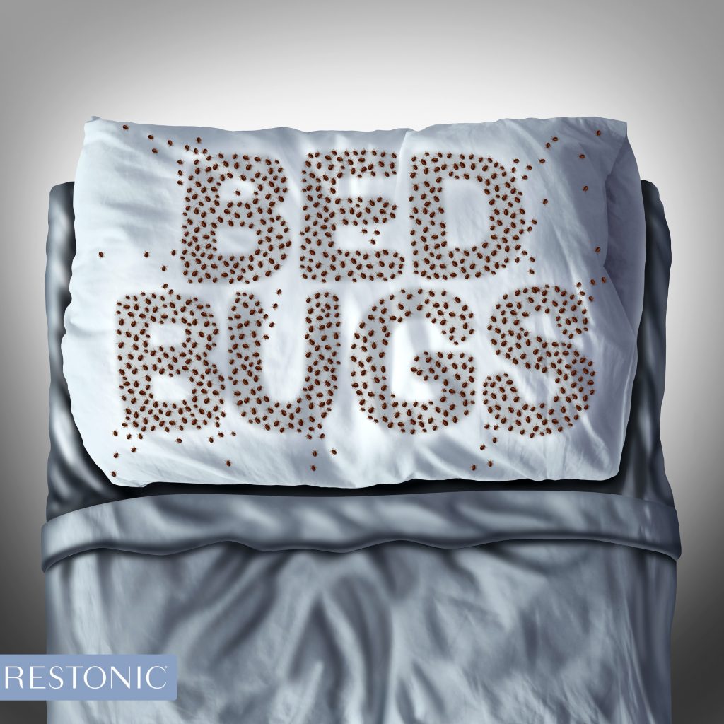 What’s lurking beneath your sheets? Hopefully, the answer is no dust mites, no stains, no spills. What should be there is a mattress protector – an essential purchase to safeguard the significant investment you made in a quality mattress.