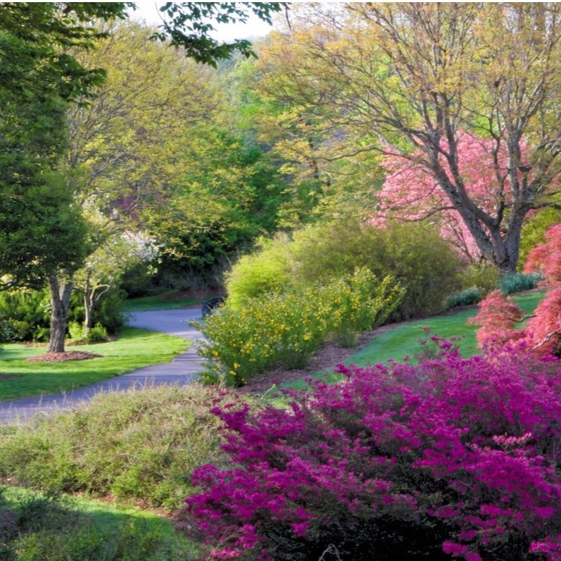 Biltmore Estate Gardens