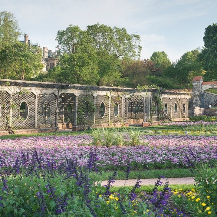 Biltmore Lavender Garden