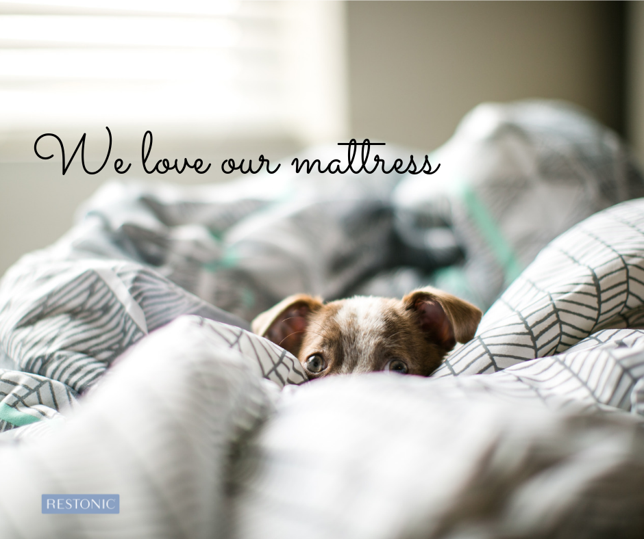 What Mattress Foundation is Best for You?
