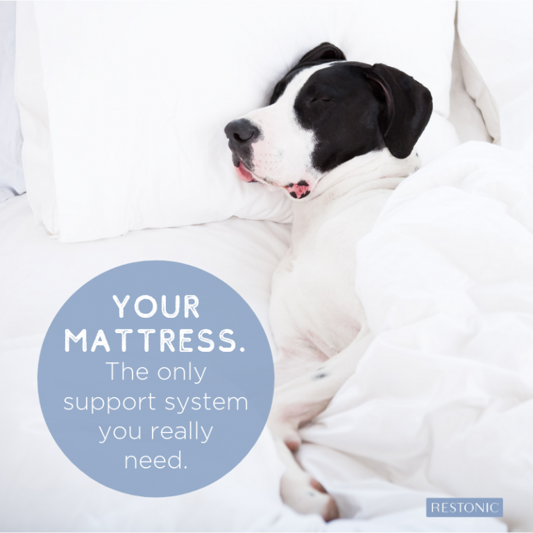 Pressure Mapping, Your Mattress & YOU! Restonic