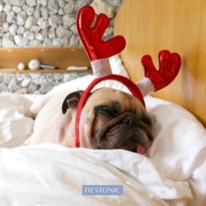 Expert tips to relieve holiday stress