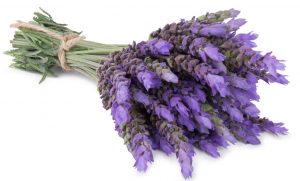 Can Lavender Really Help You Sleep Better?