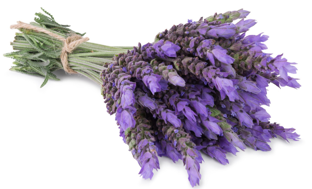 can-lavender-really-help-you-sleep-better-restonic