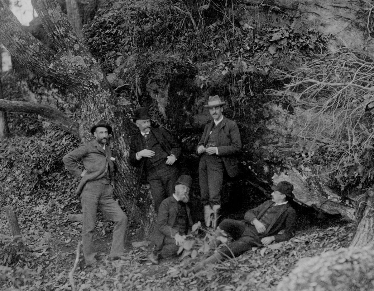 The Forests of Biltmore® – George Vanderbilt’s Living Legacy 