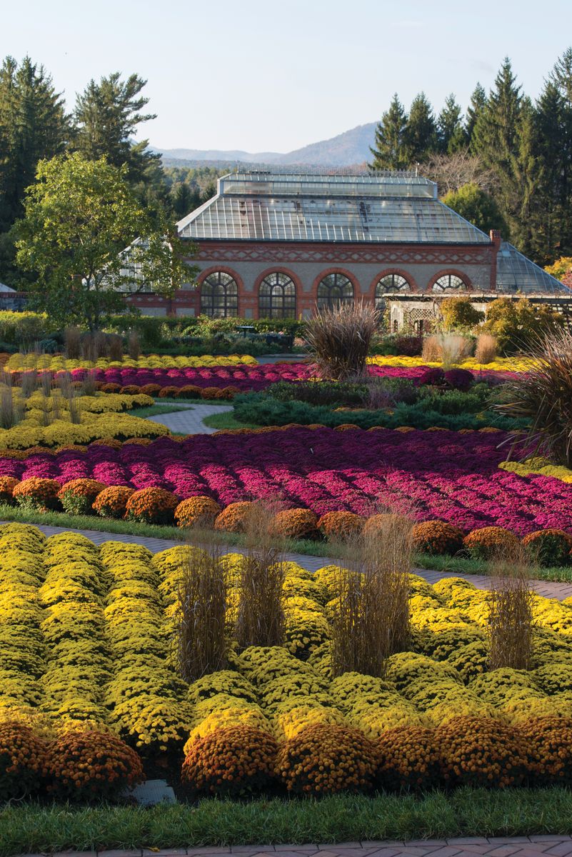 The Forests of Biltmore® – George Vanderbilt’s Living Legacy