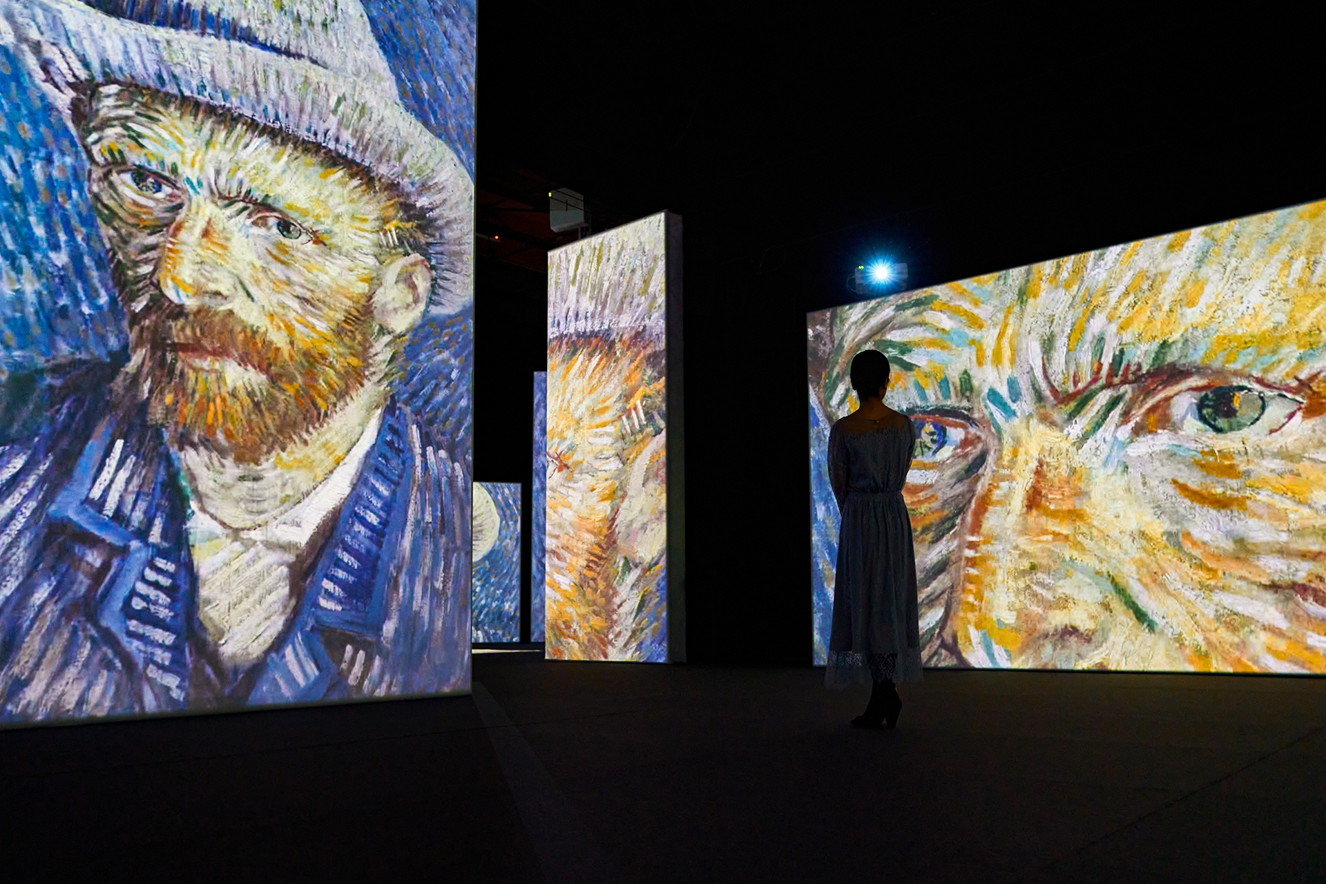 Ocenění děl Van Gogha v Biltmore