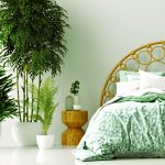 Bedroom Color Trends According To Hgtv S Property Brothers Drew Jonathan Scott Restonic