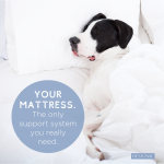 mattress support system